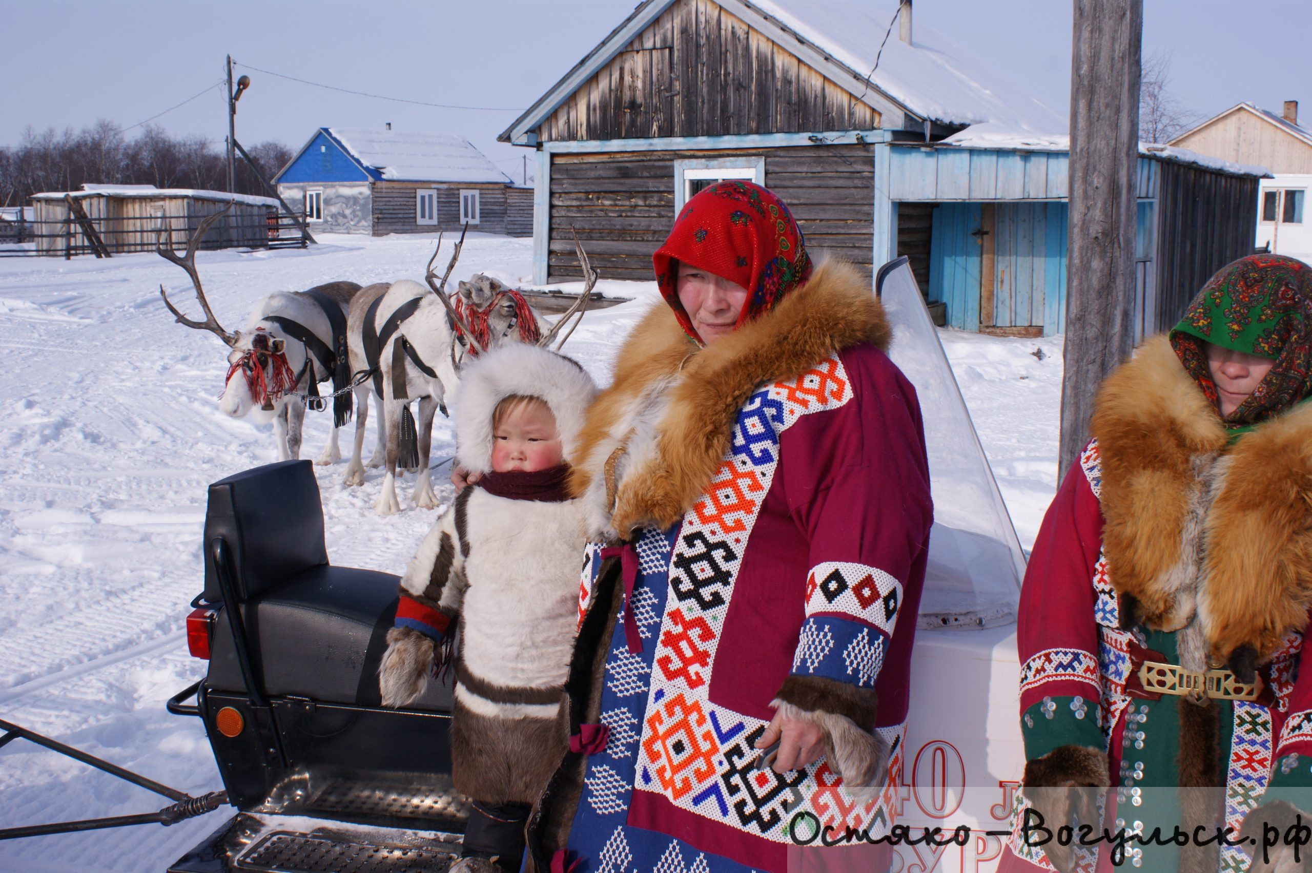 Ночная гостья пришла в палатку